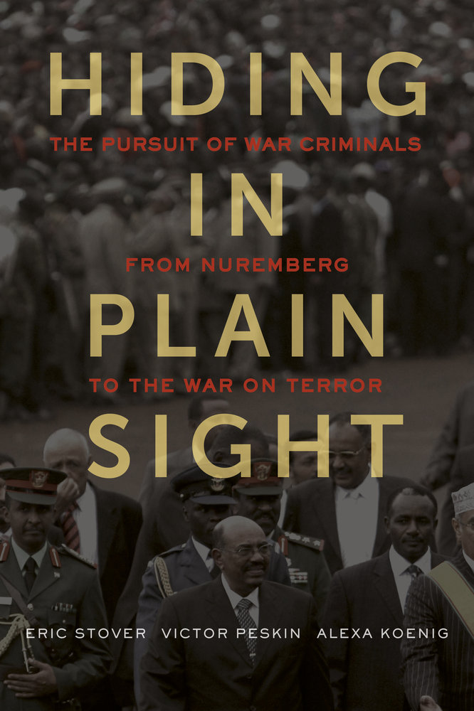 Image of Hiding in Plain Sight book cover